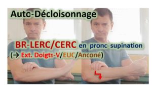 Auto-décloisonnage BR-LERC / CERC / EXTENSEURS DOIGTS – V /EXTENSEUR ULNAIRE CARPE / Anconé