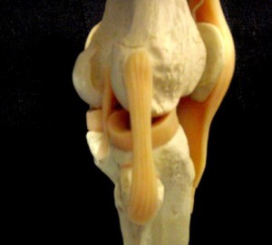 douleur genou ostéopathie