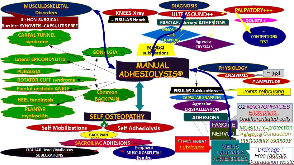dynamic manual adhesiolysis MIND MAP