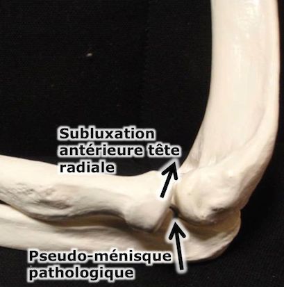 epub antimikrobielle